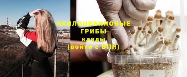 дживик Кукмор